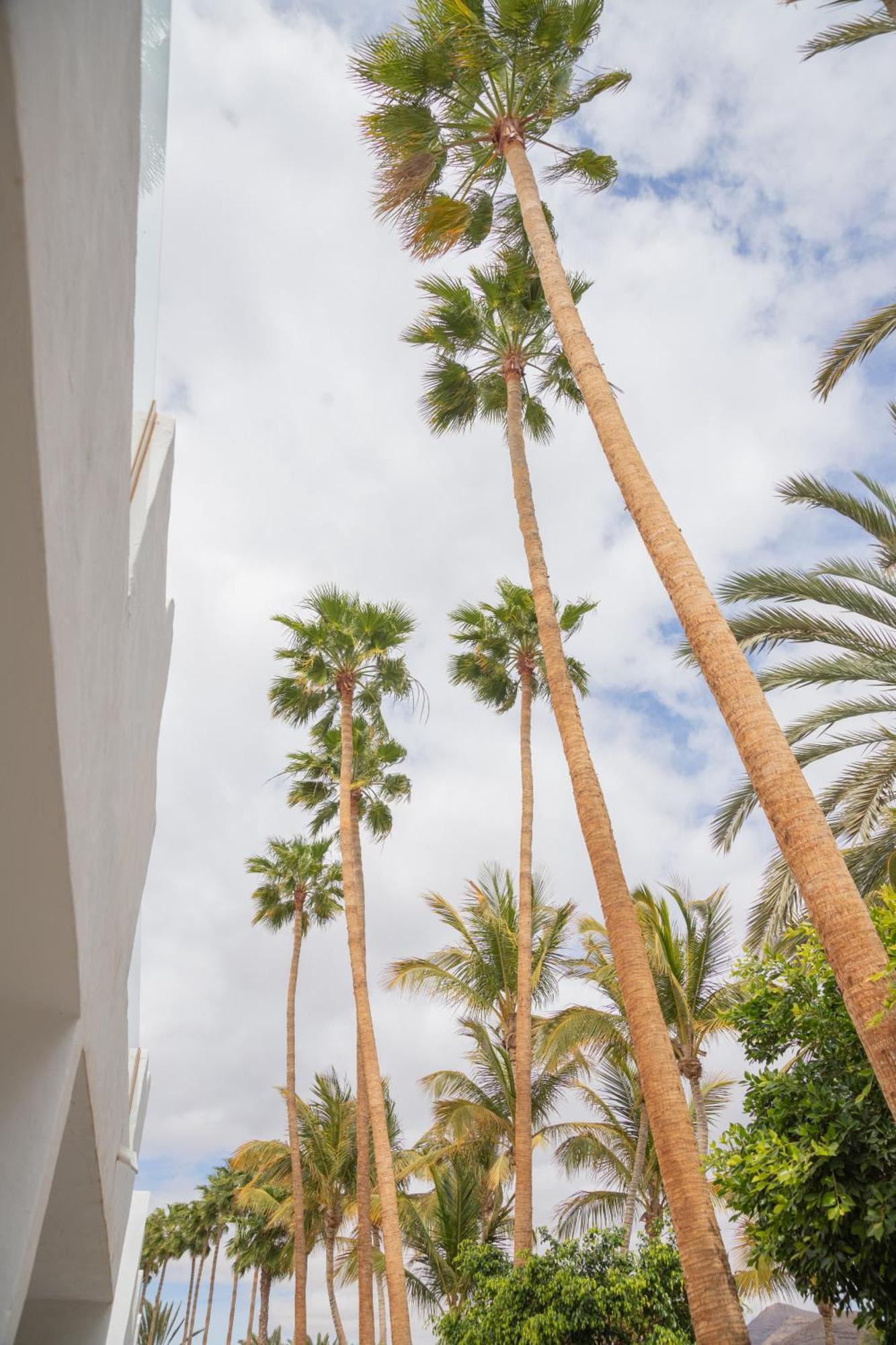 Palm Beach Fuerteventura Tarajalejo Extérieur photo